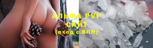 индика Абинск