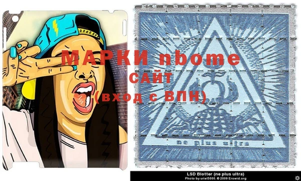 ПСИЛОЦИБИНОВЫЕ ГРИБЫ Абаза